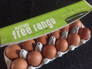 
            
                Load image into Gallery viewer, Agreeable Nature Free Range Eggs (Dozen)
            
        
